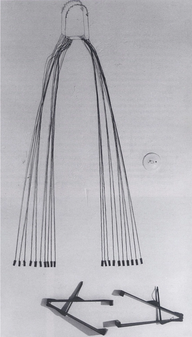 Herman's Lashes And Extensions