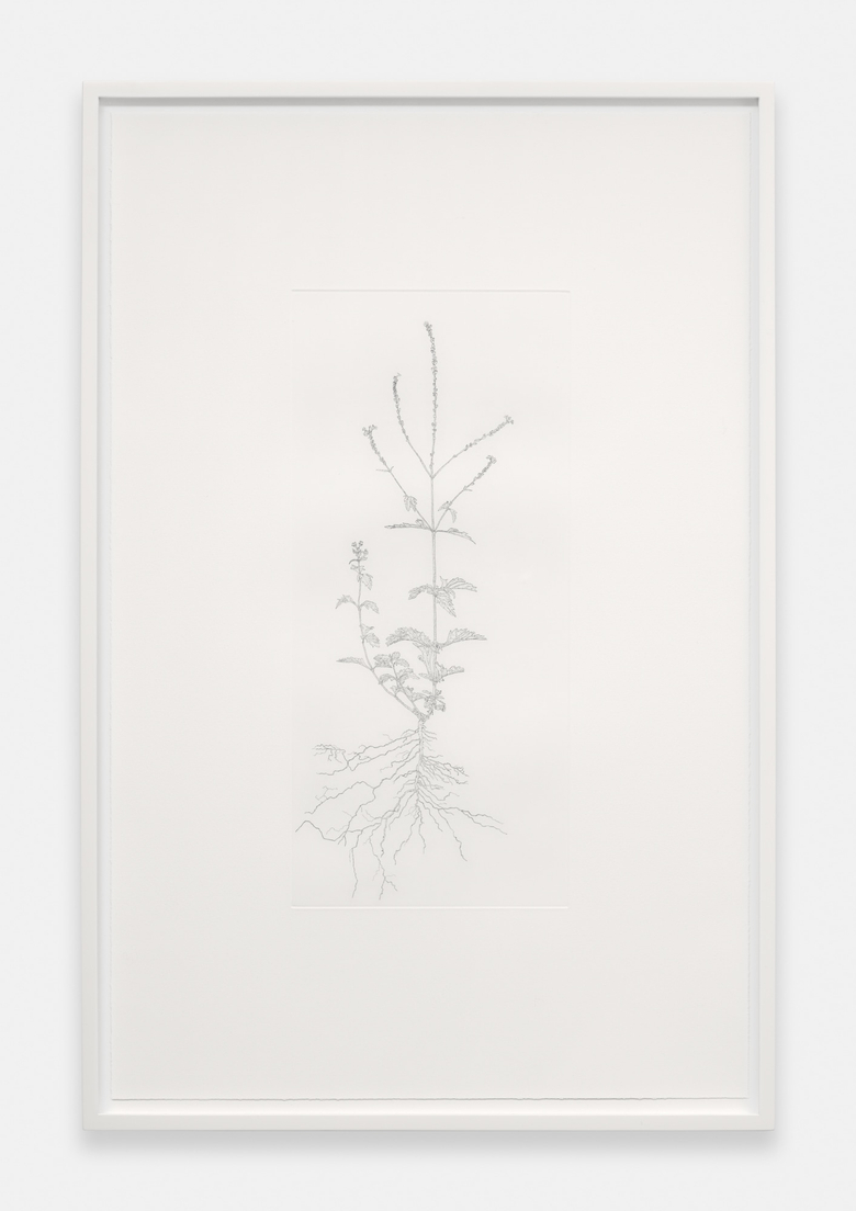 Nourishment (series)