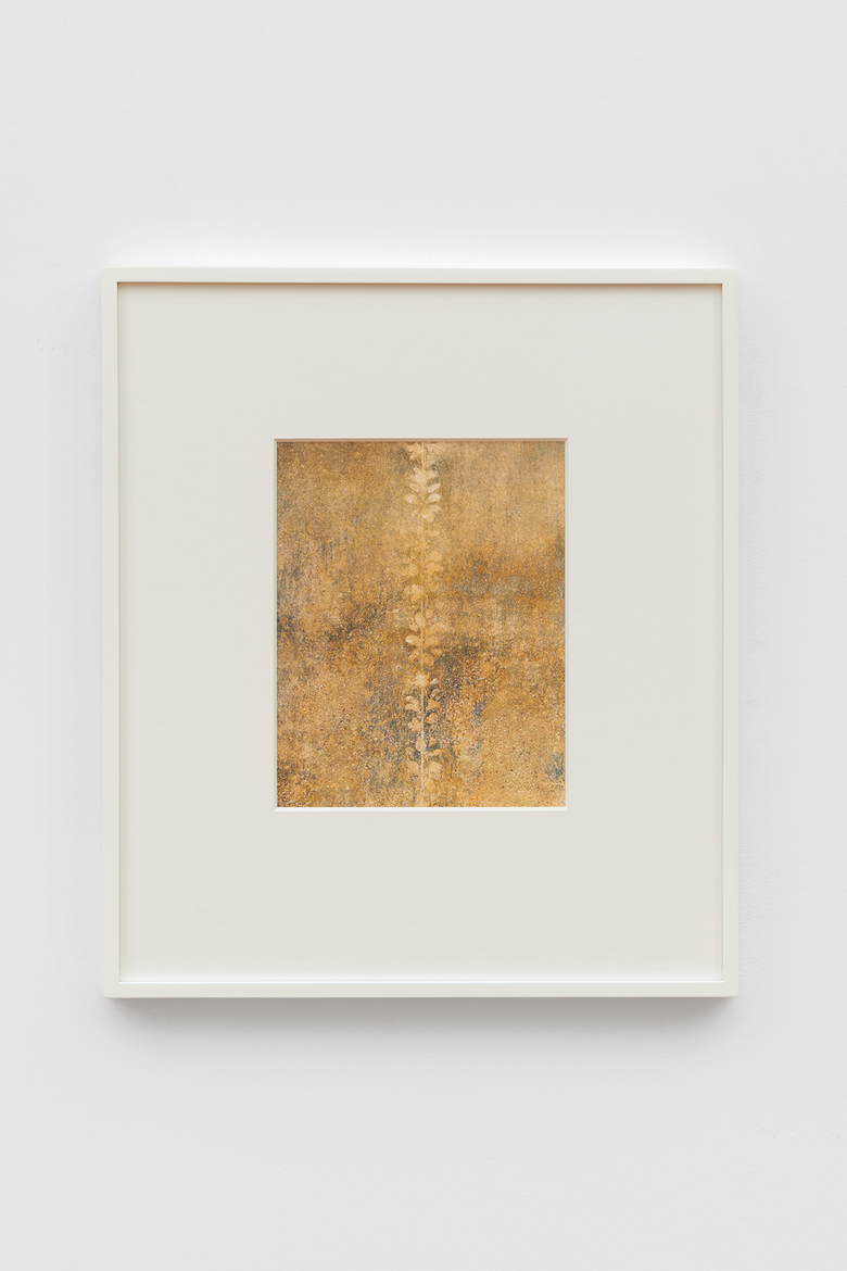 Untitled (Casa del Menandro, #01)