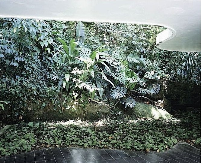 Untitled (Casa das Canoas, #12)