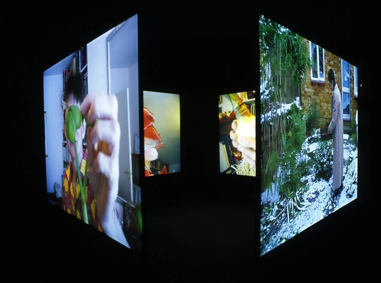 The 4 Seasons of Veronica Read