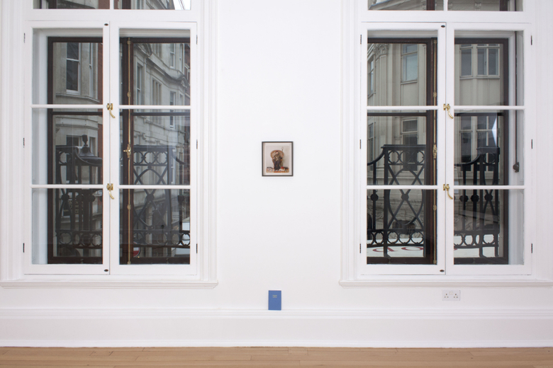 Definition of Abundance