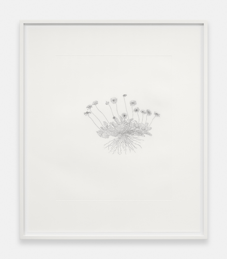 Nourishment (series)