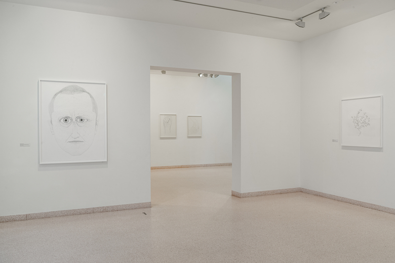 Self portrait at the age of 62