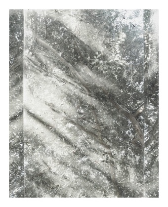 Untitled (Sheats-Goldstein House, #07)