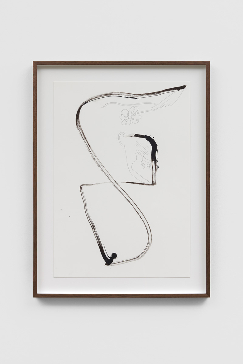 Primate Change Denial