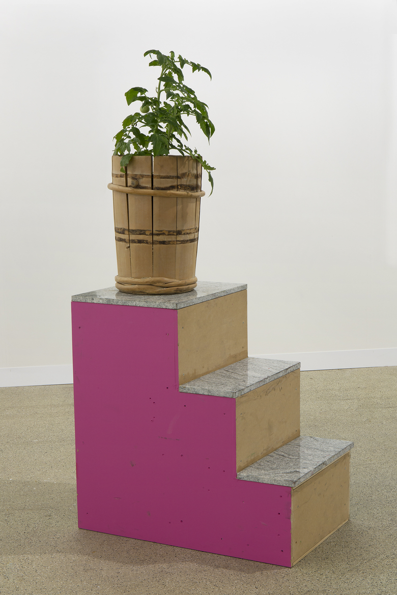 Das soziale Gewebe O