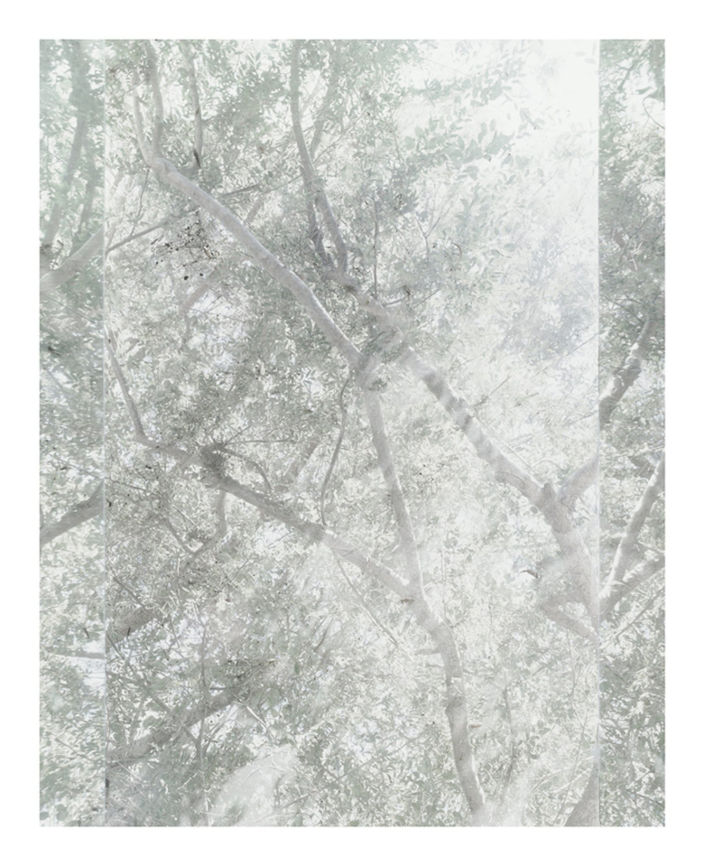 Untitled (Sheats-Goldstein House, #04)