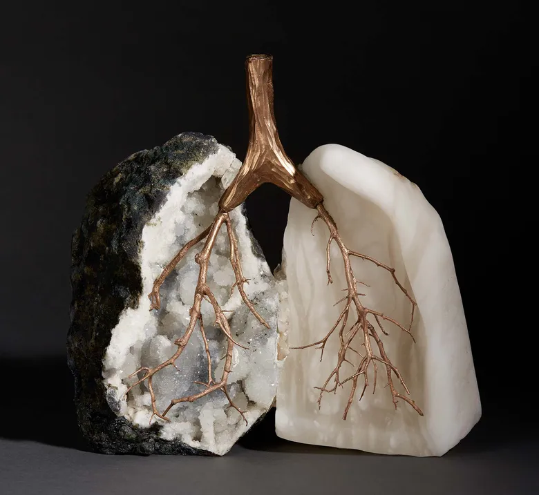 Debra Baxter at Zane Bennett Contemporary Art