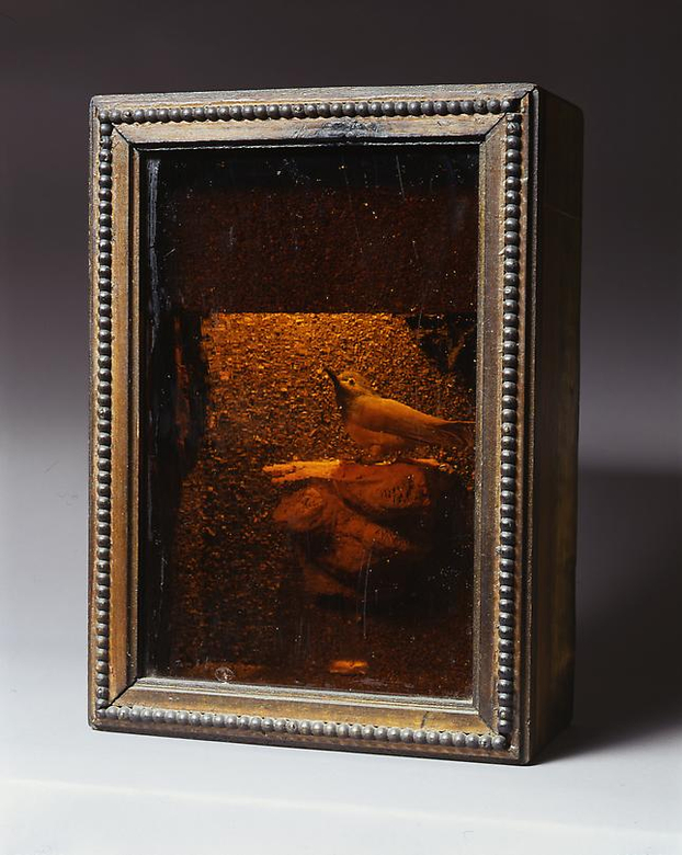 Illuminated Habitat with Bird, c.1950