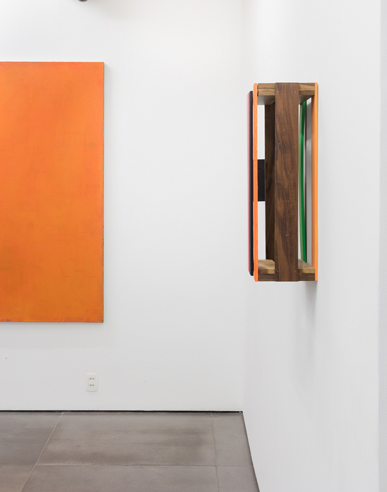 vista da exposição -- galeria nara roesler | rio de janeiro, 2017