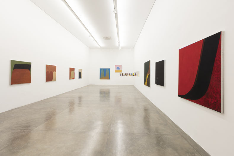 vista da exposição -- galeria nara roesler | são paulo, 2017 foto everton ballardin © galeria nara roesler