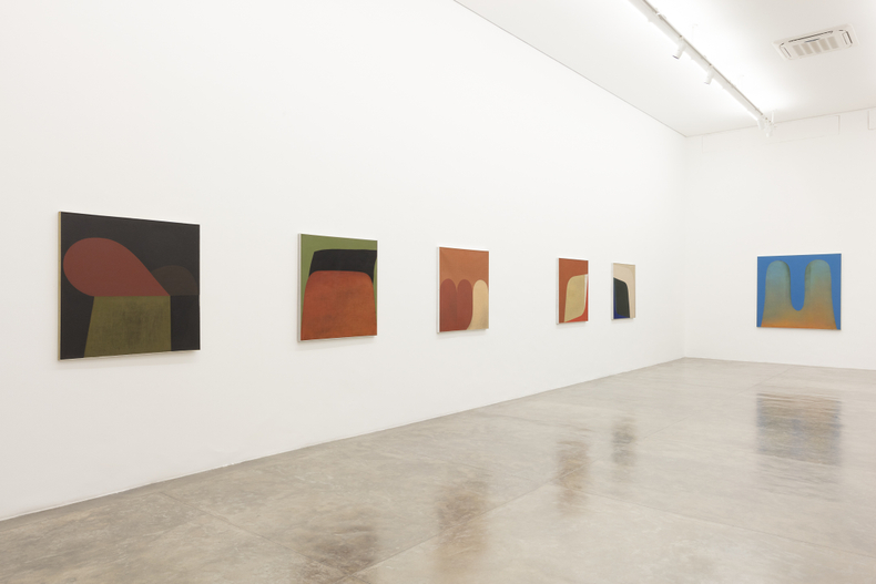 vista da exposição -- galeria nara roesler | são paulo, 2017 foto everton ballardin © galeria nara roesler