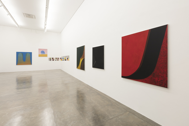 vista da exposição -- galeria nara roesler | são paulo, 2017 foto everton ballardin © galeria nara roesler