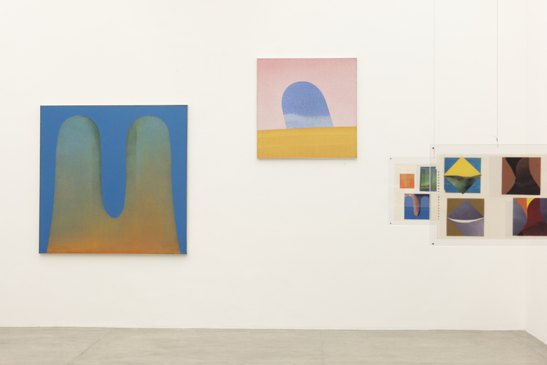 vista da exposição -- galeria nara roesler | são paulo, 2017 foto everton ballardin © galeria nara roesler