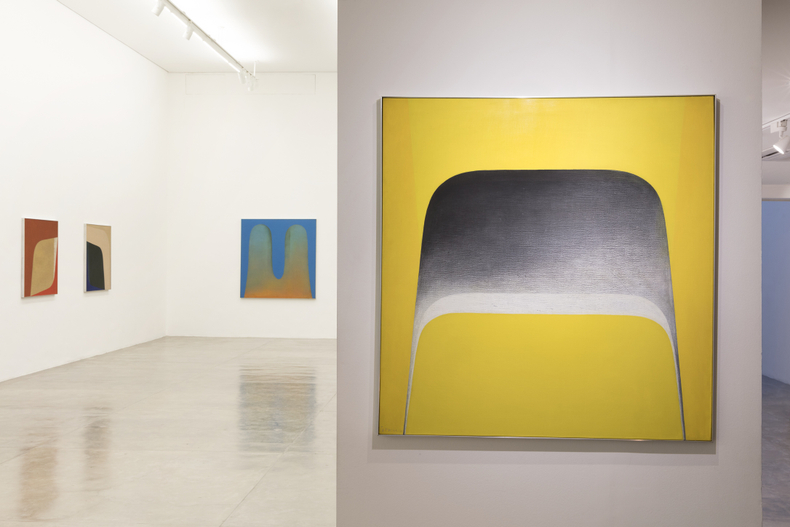 vista da exposição -- galeria nara roesler | são paulo, 2017 foto everton ballardin © galeria nara roesler