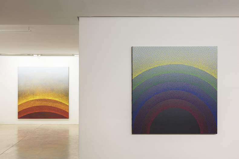 vista da exposição -- galeria nara roesler | são paulo, 2017 foto everton ballardin © galeria nara roesler