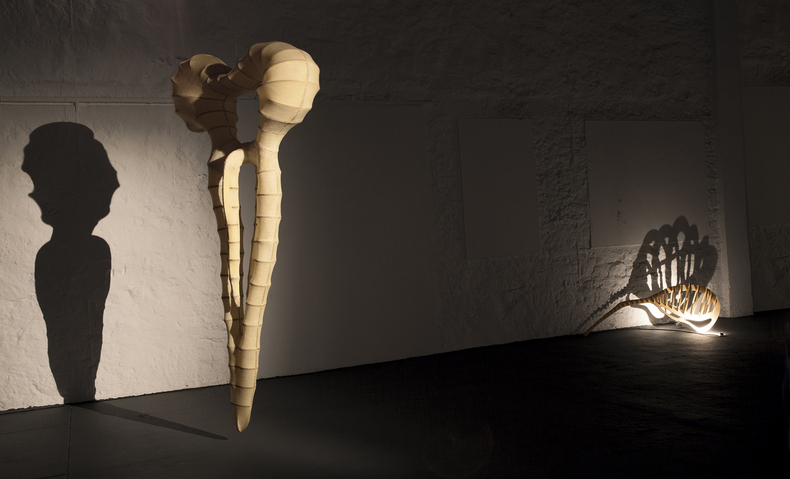 Sem título, 2018 madeira, tecido e fibra de vidro 300 x 90 x 65 cm foto © Felipe Amarelo