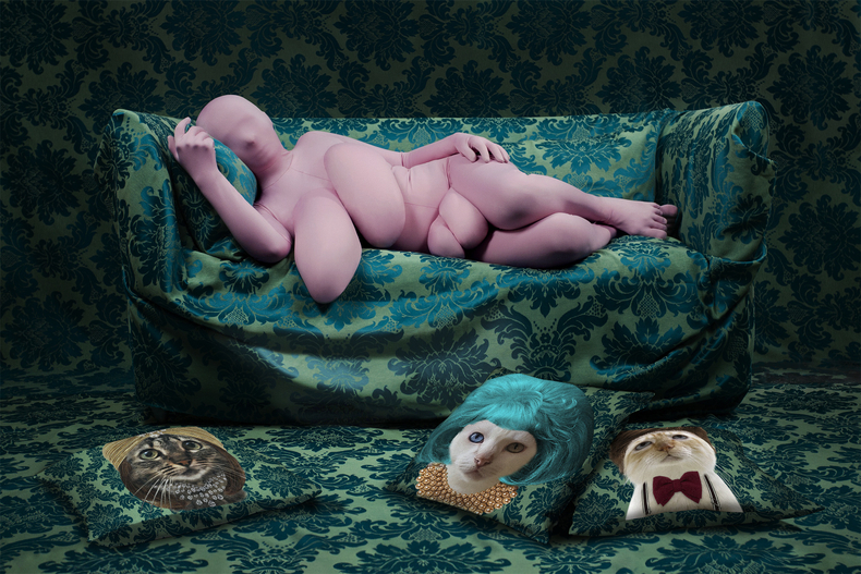 Berna Reale Everybody look at the cats (Todos olham para os gatos), 2019 print on cotton paper, methacrylate/impressão em papel...