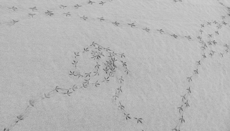 sem título da série plano de vôo, 2015 fotografia digital colorida 40 x 70 cm