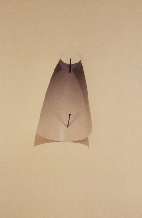 vik muniz two nails, 1987/2016