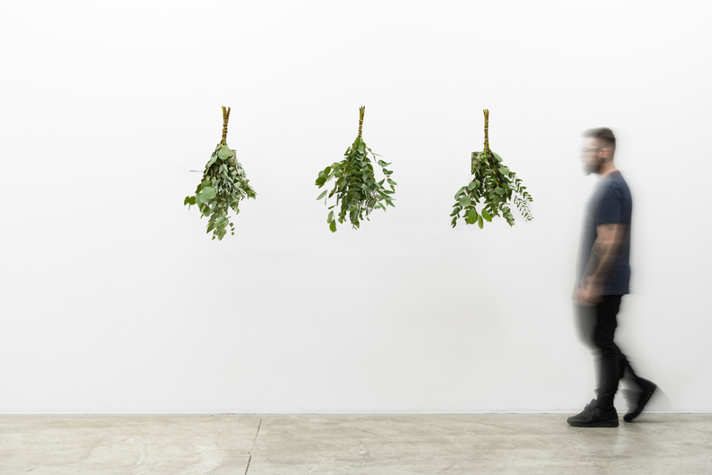 Laura Vinci Ramo, da série Maquinamata, 2022 flores secas, motor e latão banhado a prata aproximadamente 180 x 188 x...