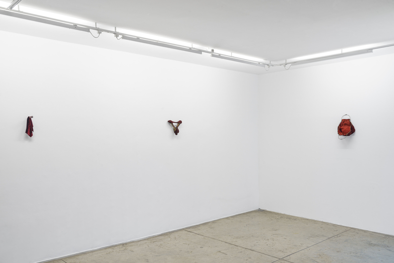 Vista da exposição Sangue Azul, Nara Roesler São Paulo, 2025. Foto: Flavio Freire. Cortesia do artista e Nara Roesler.