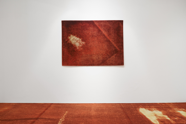 Vista da exposição Sangue Azul, Nara Roesler São Paulo, 2025. Foto: Flavio Freire. Cortesia do artista e Nara Roesler.