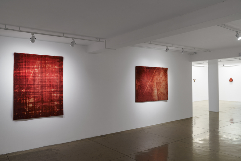 Vista da exposição Sangue Azul, Nara Roesler São Paulo, 2025. Foto: Flavio Freire. Cortesia do artista e Nara Roesler.