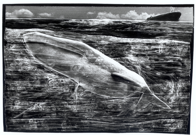 Paisagens marinhas #01, 1993–94