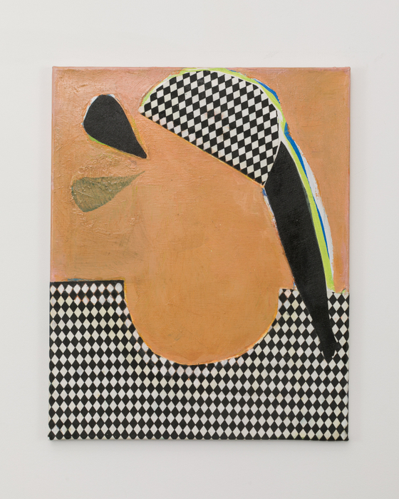 Cristina Canale Hut, 2019 acrílica, óleo e tecido sobre tela / acrylic, oil and fabric on canvas 50 x 40...