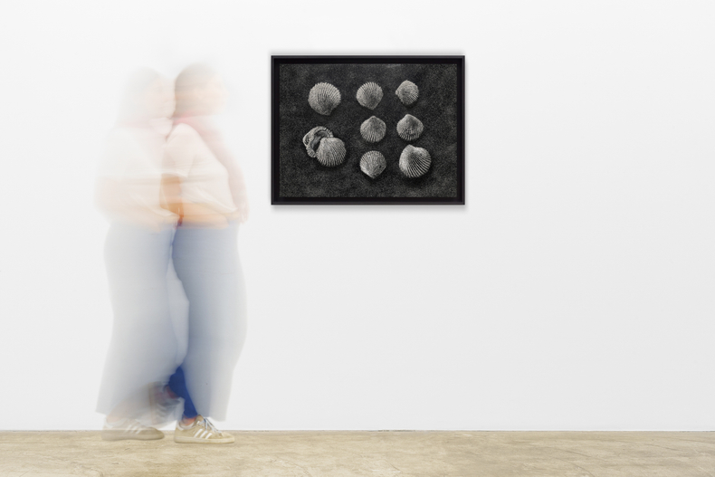 Vik Muniz Museum of Ashes: Seashell fossil, Paris Bay, 45 million years, 2019 archival inkjet print | edition of 6...