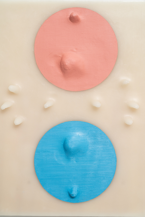 Carlito Carvalhosa Sem título (P53/20), 2020 tinta óleo e cera sobre madeira 3 peças de 50 x 40 x 6 cm