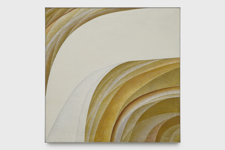 Tomie Ohtake Sem t&iacute;tulo 1983 tinta &oacute;leo sobre tela 100 x 100 cm