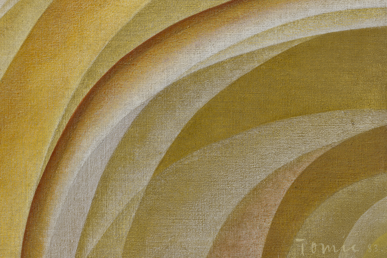 Tomie Ohtake Sem t&iacute;tulo 1983 tinta &oacute;leo sobre tela 100 x 100 cm