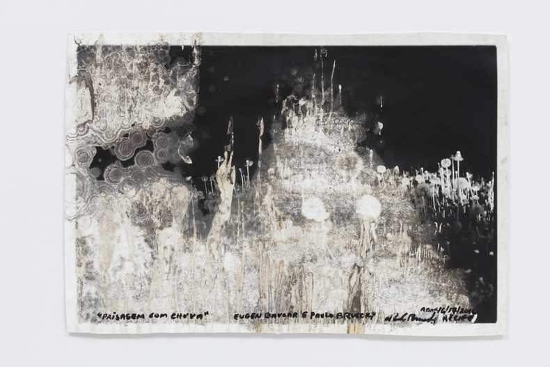 Paulo Bruscky e Evgen Bavcar Paisagem com chuva, 1973 / 2016 água de chuva sobre papel / rain water on...