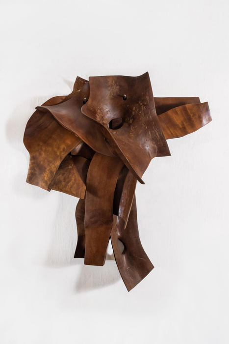 Marcelo Silveira Pele XVI, 2009/2021 madeira cajacatinga, cera de abelha e pino metálico / cajacatinga wood, beeswax and metallic pin...