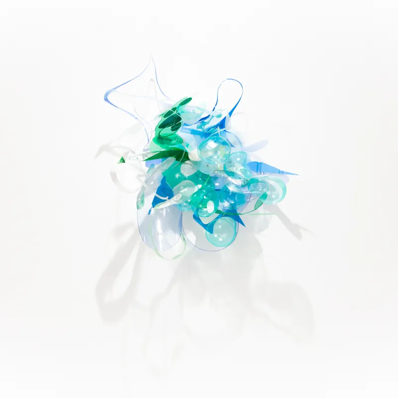 Aurora Robson, Rational Optimism, 2020