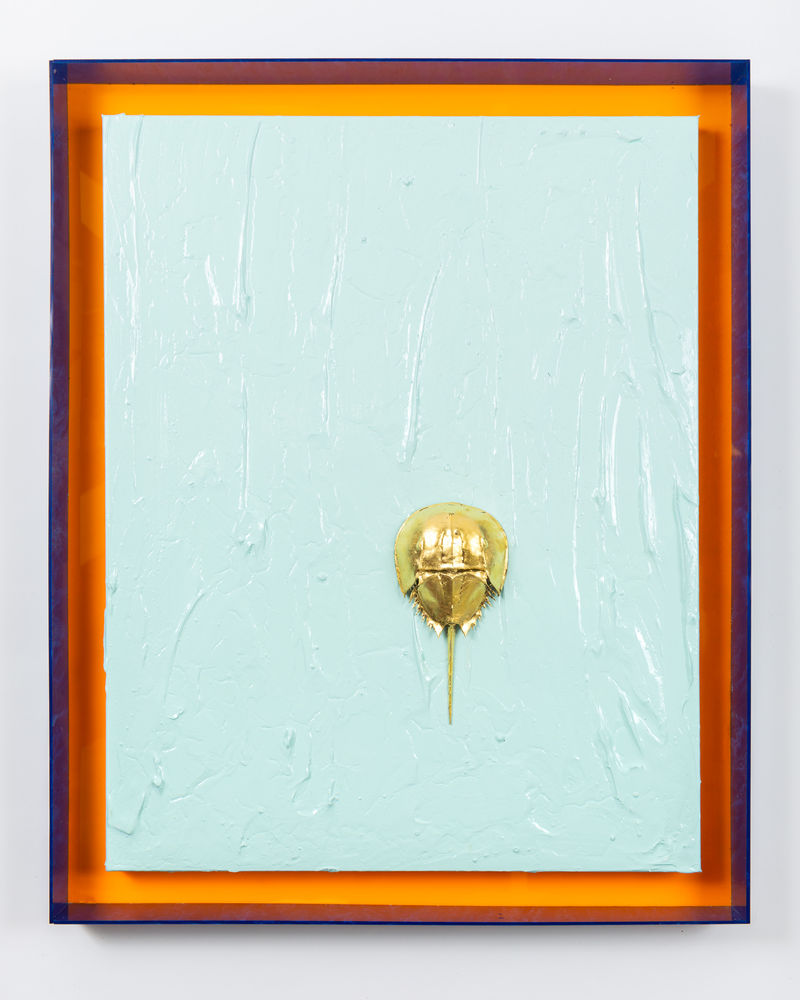 John Knuth Golden Horseshoe Crab, 2021 Acrylic on canvas, gold foiled horseshoe crab shell in acrylic frame, 36 x 32...