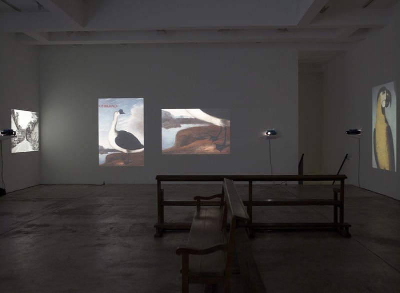 Lothar Baumgarten Fragmento Brasil / Vom Ursprung der Tischsitten, unique version, 1971- 2005