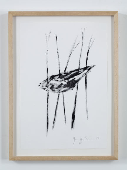 Giuseppe Penone Progetto per Soffio di foglie, 1980