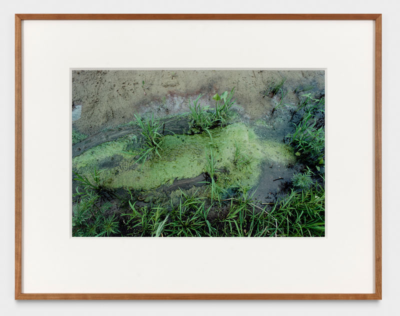 Ana Mendieta Untitled: Silueta Series, 1979