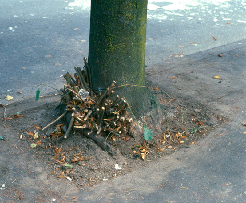 Jeff Wall Clipped Branches, East Cordova St., Vancouver, 1999