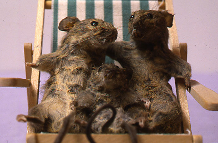 Maurizio Cattelan Untitled, 1997