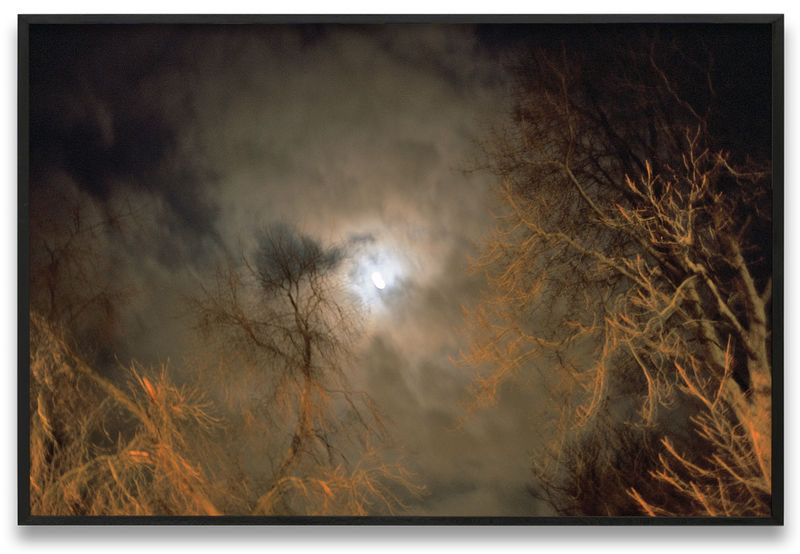 Nan Goldin Full moon over Bois de Vincennes, Paris, 2004 Dye sublimation print on aluminum 20 x 30 in. (50.8...