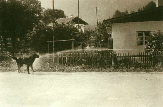 Tacita Dean Floh: Water Spurt, 2000