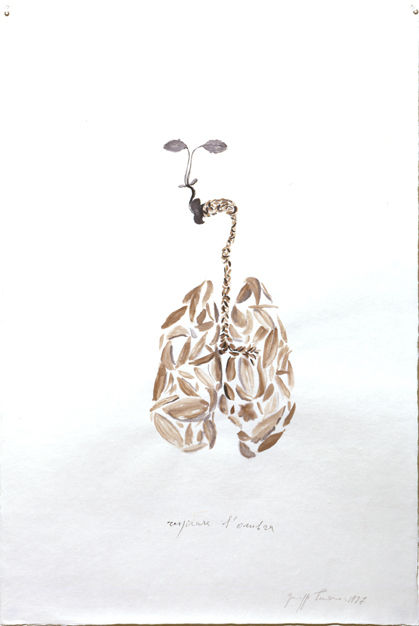 Giuseppe Penone Respirare L'ombra (To breathe the shadow), 1997