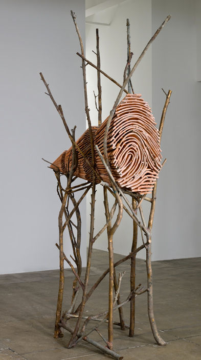 Giuseppe Penone Ombra di terra, 2000