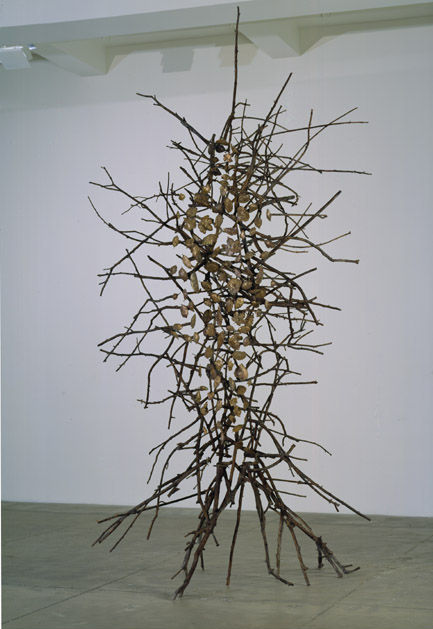 Giuseppe Penone Pelle di Foglie (Skin of Leaves), 1999-2000
