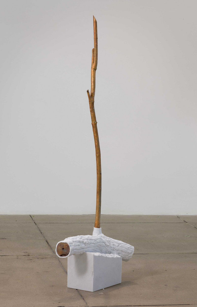 Giuseppe Penone Indistinti confini - Trebia (Indistinct Boundaries - Trebia), 2012